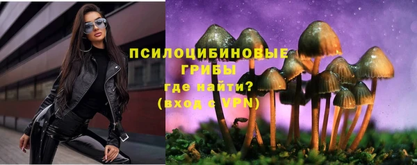 спиды Зеленодольск